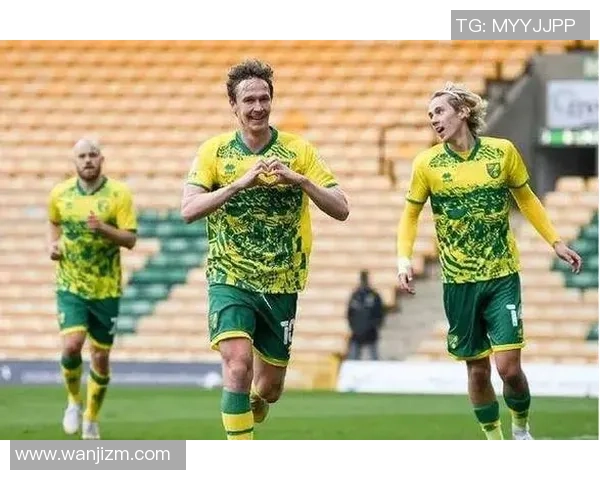 诺维奇与沃特福德最新比赛结果揭晓精彩瞬间回顾